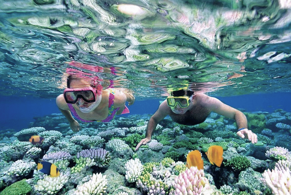 Kinh nghiệm lặn biển ở Đà Nẵng